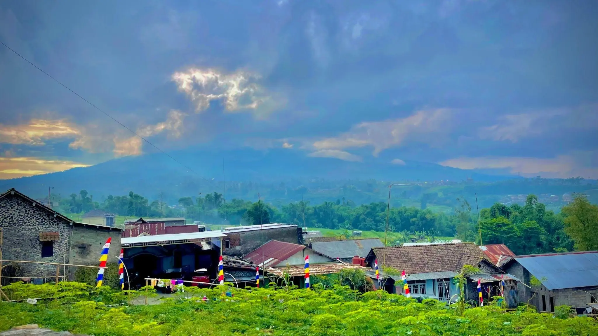 Mengunjungi Peternak.